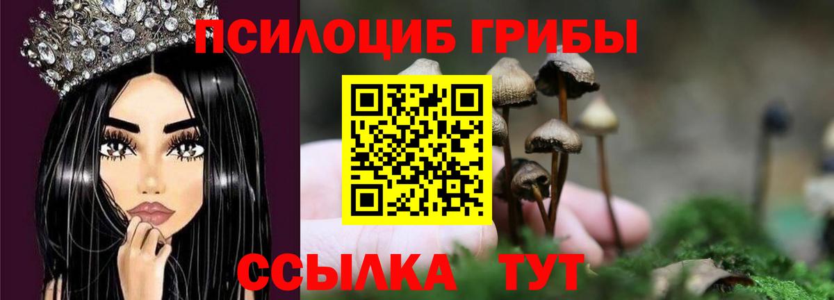 Туапсе  Псилоцибиновые грибы Psilocybine cubensis  где купить наркотик  Псилоцибиновые грибы GOLDEN TEACHER  Вход с VPN 